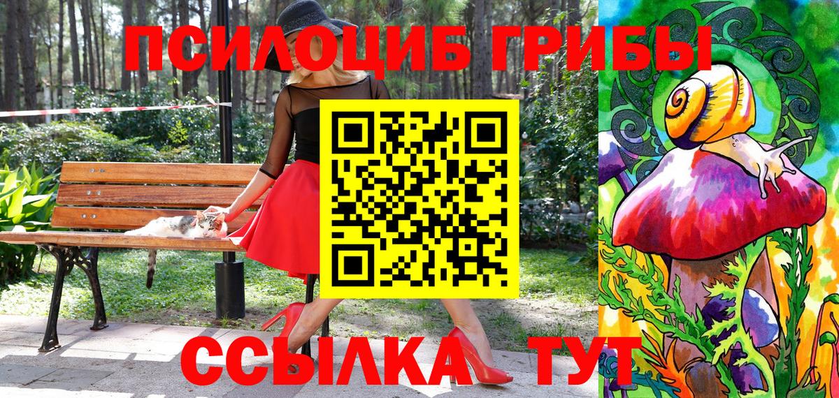 Галлюциногенные грибы Psilocybe Усть-Джегута