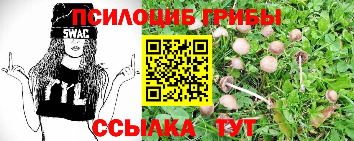 Усть-Джегута  Псилоцибиновые грибы Psilocybe  Псилоцибиновые грибы GOLDEN TEACHER  Вход с VPN 